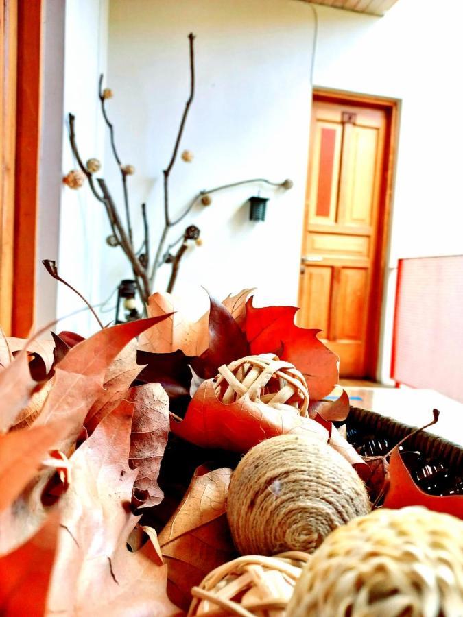 Hotel Nativo Santiago Ngoại thất bức ảnh